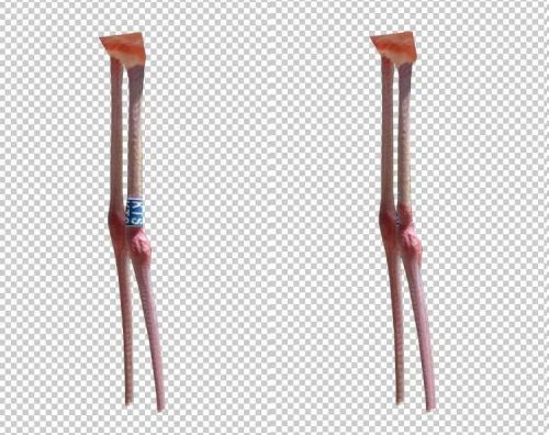 آموزش طراحی موجود خیالی در فتوشاپ